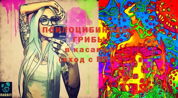 2c-b Алзамай