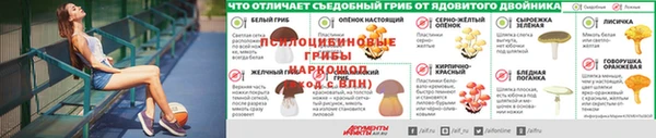 Альфа ПВП Алексин